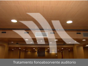 Tratamiento fonoabsorvente auditorio